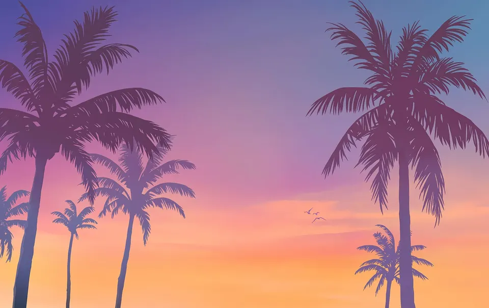 Palm Sunset Gradient card skin artwork